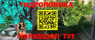 прущие грибы Будённовск