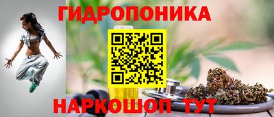 крисы Балашиха